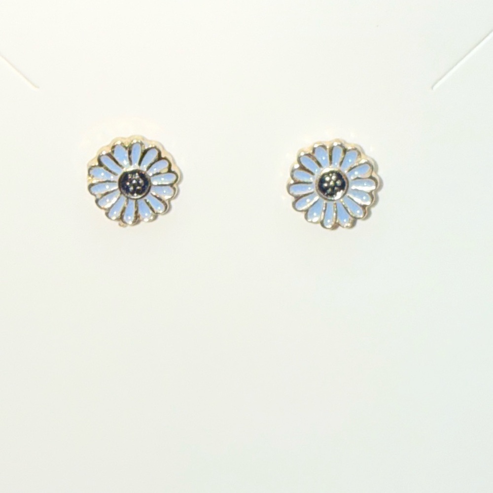 Source Unknown Blue Daisy Earrings post backs